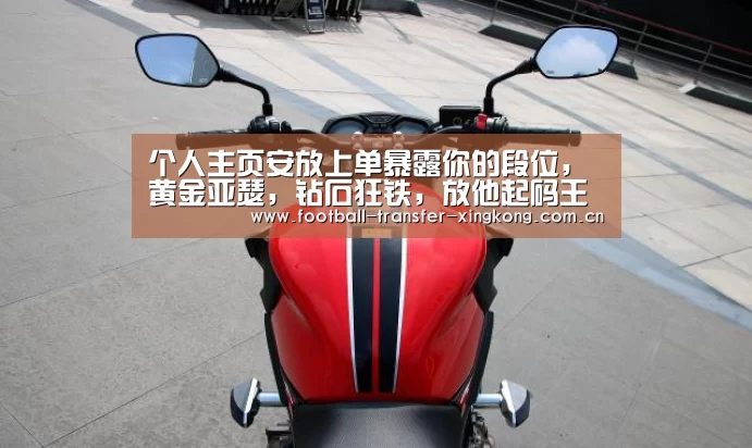 个人主页安放上单暴露你的段位，黄金亚瑟，钻石狂铁，放他起码王者！-星空娱乐官方下载(图3)